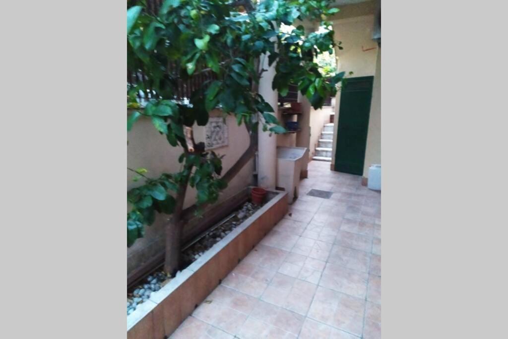 Appartamento Limone Lido di Ostia Esterno foto