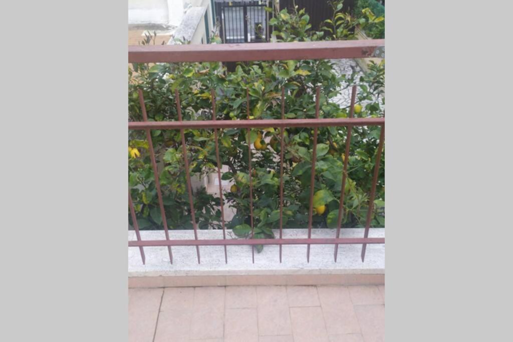 Appartamento Limone Lido di Ostia Esterno foto